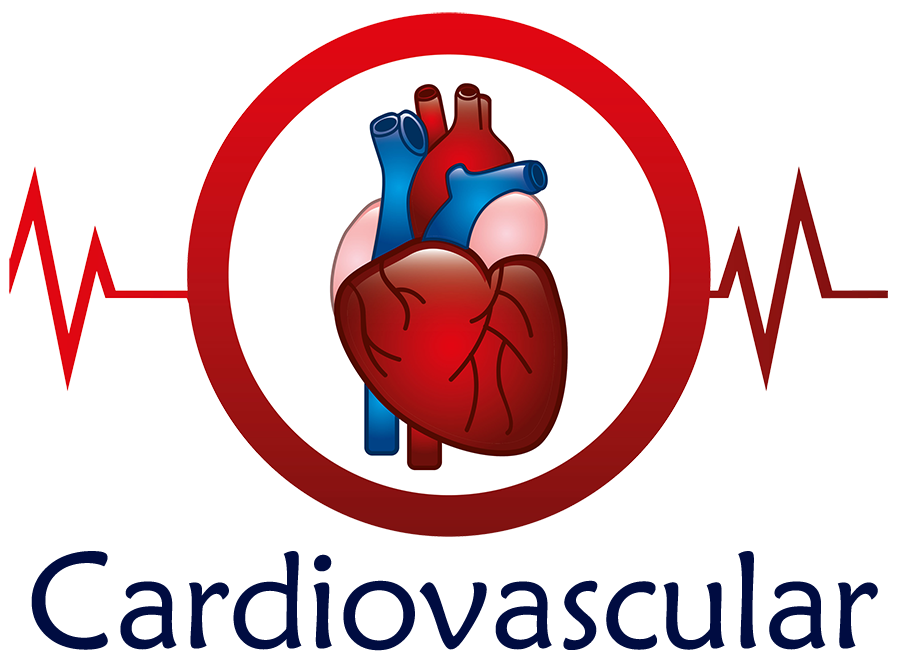 cardiovascular